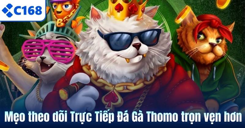 Mẹo theo dõi Trực Tiếp Đá Gà Thomo trọn vẹn hơn