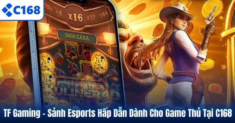 TF Gaming – Sảnh Esports Hấp Dẫn Dành Cho Game Thủ Tại C168