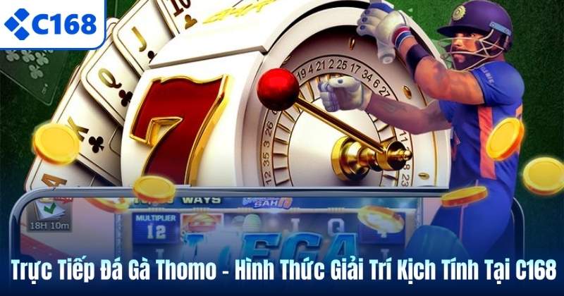 Trực Tiếp Đá Gà Thomo – Hình Thức Giải Trí Kịch Tính Tại C168