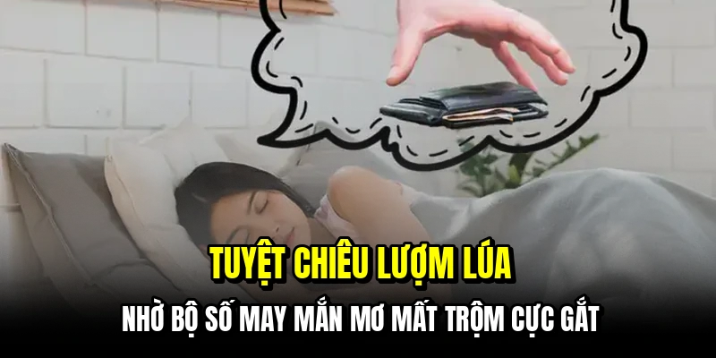 Tuyệt chiêu lượm lúa nhờ bộ số may mắn mơ mất trộm cực gắt