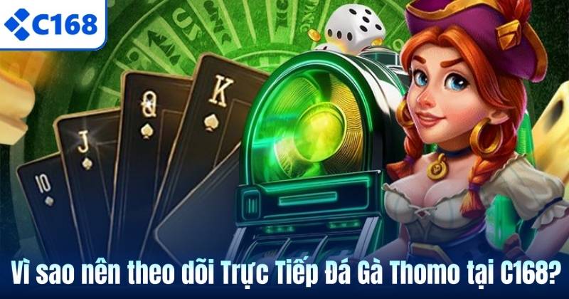 Vì sao nên theo dõi Trực Tiếp Đá Gà Thomo tại C168?